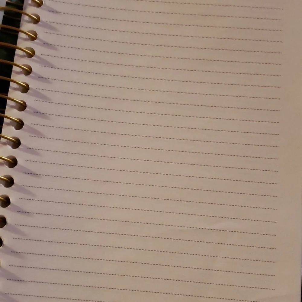 3-in-1 journal  new.